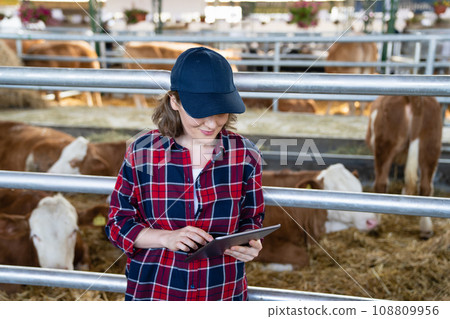 Woman farmer with tablet at a dairy farm. Woman farmer with tablet at a dairy farm. 108809956