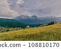 The alpine meadows. High mountains. 108810170