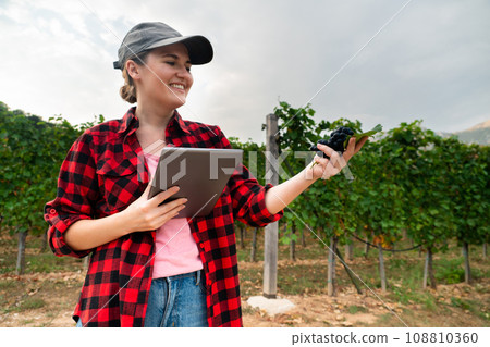 A woman farmer examines the vineyard 108810360