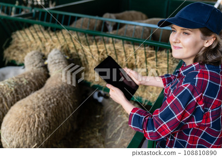 Woman farmer with tablet in a sheepfold. 108810890