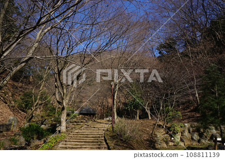七澤森林公園 七澤森林公園 108811139