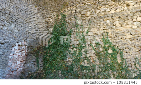 climbing green ivy creeping up the ledges of a stone block wall as a natural texture, evergreen vine on a cobblestone texture surface, abstract background 108811443