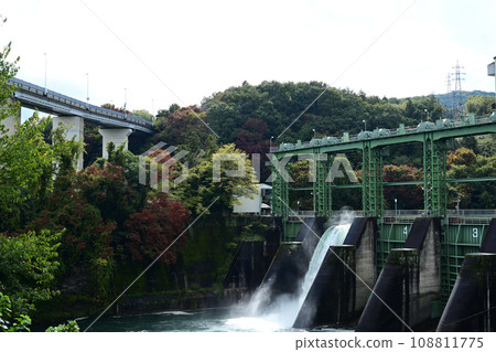 Tamayo Dam is releasing water during the autumn leaves season, Yorii Town, Saitama Prefecture 108811775