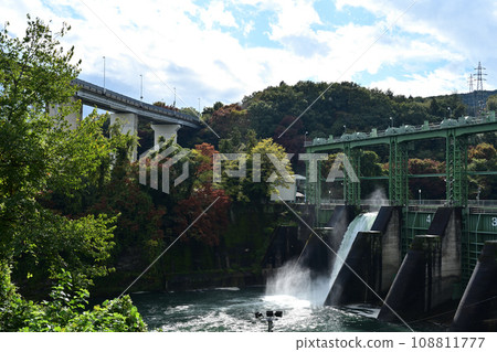 Tamayo Dam is releasing water during the autumn leaves season, Yorii Town, Saitama Prefecture 108811777