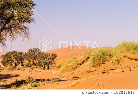 Desert landscape near Sossusvlei Desert landscape near Sossusvlei 108812612