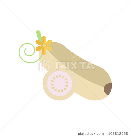 Flat Illustration of a Zucchini Flat Illustration of a Zucchini 108812968