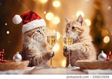 Two cute cats in Christmas hats next to a glass of champagne in the background of Christmas decorations. Fluffy cats with cozy Christmas lights in the background. 108813698