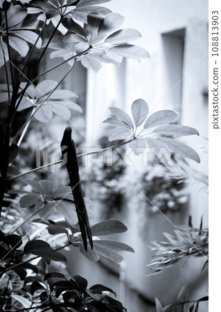 Bird perched on a branch of a green plant 108813903