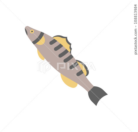 Zander Illustration 108813984