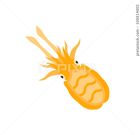 Cuttlefish Illustration 108814005