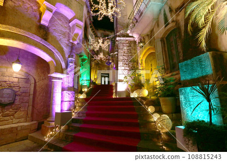 羊茅與歌山濱海城燈飾 108815243