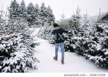 Back view of man holding wrapped Christmas tree on fair. Happy male bring fir tree. Back view of man holding wrapped Christmas tree on fair. Happy male bring fir tree. 108815299