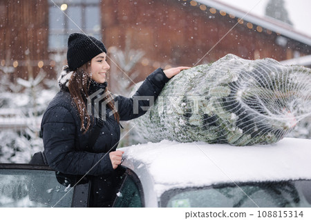 Beautiful woman tying to put a Christmas tree to the roof of the car to bring it home. Live fir tree delivery Beautiful woman tying to put a Christmas tree to the roof of the car to bring it home. Live fir tree delivery 108815314