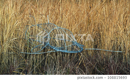 Kiev, Ukraine January 10, 2021: Iron fish in a thicket of reeds, arrangement in a city park 108815693