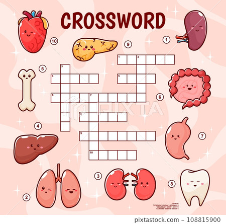 Crossword quiz game grid. Human body organ characters. Crossword grid riddle, vocabulary quiz vector worksheet with heart, pancreas, kidney and intestine, liver, stomach organs cheerful personages Crossword quiz game grid. Human body organ characters. Crossword grid riddle, vocabulary quiz vector worksheet with heart, pancreas, kidney and intestine, liver, stomach organs cheerful personages 108815900