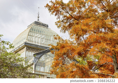Autumn. Fall. Autumn landscape and colors. Forest route. Orange color tree, red brown maple leaves in autumn city park. Beautiful orange and yellow leaves. Palacio de Cristal. Madrid. El Retiro Park. 108816222