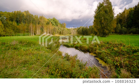 swampy environment with a small river. the river flows in a slow stream between the woods 108816323