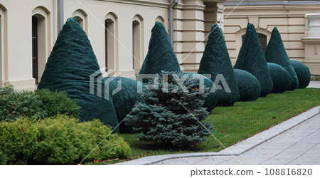 Kiev, Ukraine November 28, 2020: Mariinsky Palace after reconstruction preparing trees for winter in Kiev 108816820