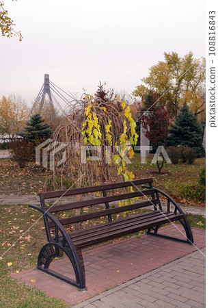 Bench in the autumn park on the background of the bridge in Kiev 108816843