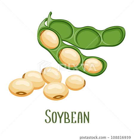 Soya beans. Soybeans in pods. Food, legumes, agriculture. Illustration, vector Soya beans. Soybeans in pods. Food, legumes, agriculture. Illustration, vector 108816939