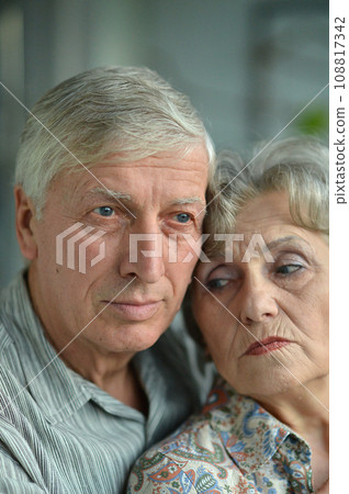 Portrait of an elder couple at home Portrait of an elder couple at home 108817342