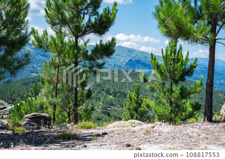 Landscapes of Peneda Geres National Park, North Portugal, view of the mountains, trees, selective focus 108817553