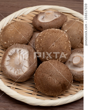 Raw shiitake mushroom Raw shiitake mushroom 108817839