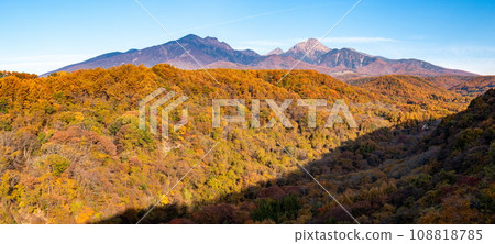 秋天的南八岳 黃葉和從八岳高原大橋看到的南八岳 108818785
