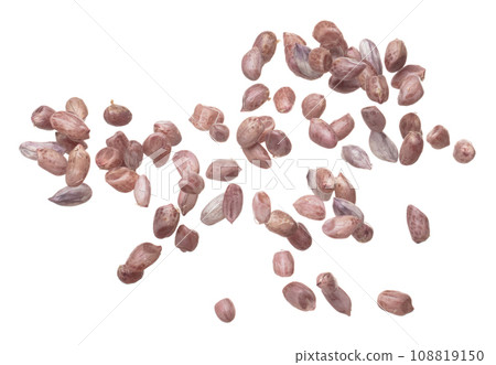 Boiled peanut fly explosion, boiled peanut bean fall down pour mix inside peel off. Tropical boiled peanut throw in air. White background Isolated high speed shutter, freeze action Boiled peanut fly explosion, boiled peanut bean fall down pour mix inside peel off. Tropical boiled peanut throw in air. White background Isolated high speed shutter, freeze action 108819150