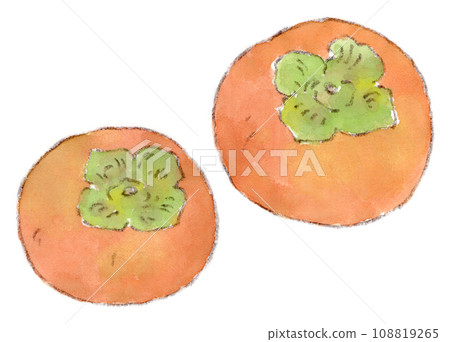 Autumn fruit, watercolor illustration of plump orange persimmon fruit 108819265