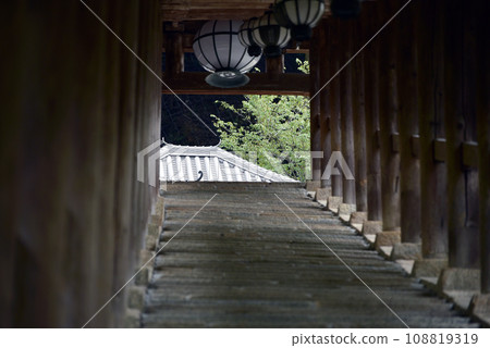 奈良縣櫻井市初瀨市長谷寺攀岩走廊及愛染堂 奈良縣櫻井市初瀨市長谷寺攀岩走廊及愛染堂 108819319