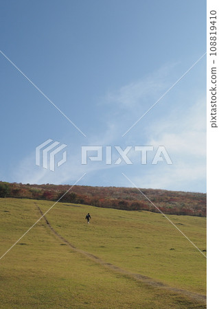 Mt. Wakakusa in autumn 108819410