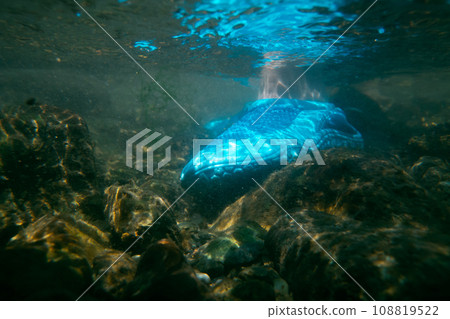 到河畔遠足 在河中嬉戲 腳 108819522