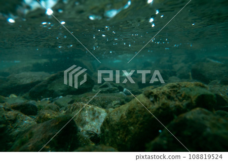 水生的 水下 在水中 108819524