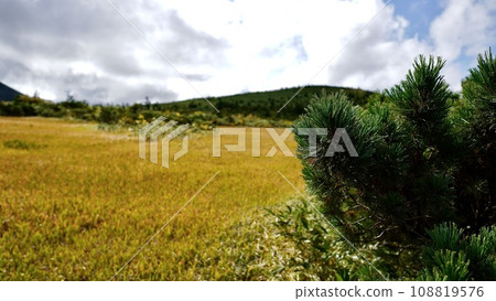 八甲田山脈 - 玉太澤濕地 從濕地展望台可以看到紅葉 108819576