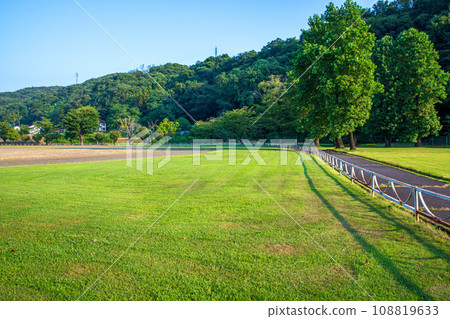 Nishike Sports Park in the early morning, midsummer scenery, Annaka City, Gunma Prefecture Nishike Sports Park in the early morning, midsummer scenery, Annaka City, Gunma Prefecture 108819633