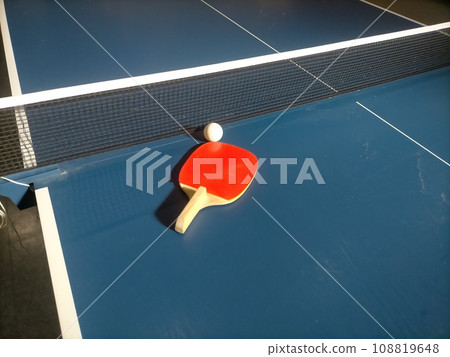 Table tennis 108819648