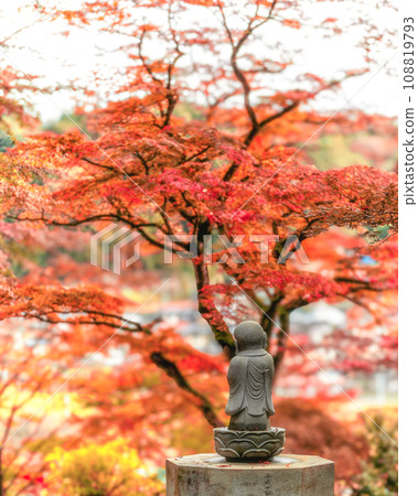 茨城縣醍醐町永源寺的秋葉 108819793