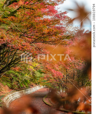 Autumn leaves at Eigenji Temple, Daigo Town, Ibaraki Prefecture Autumn leaves at Eigenji Temple, Daigo Town, Ibaraki Prefecture 108819794