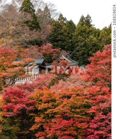 Autumn leaves at Eigenji Temple, Daigo Town, Ibaraki Prefecture 108819814