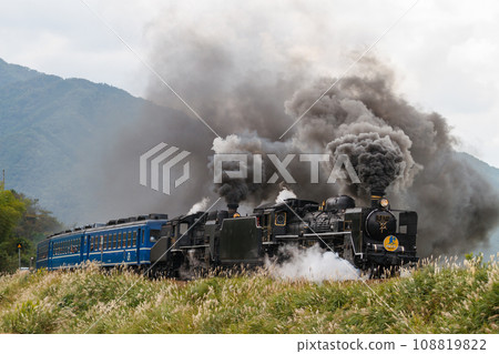 SL Yamaguchi train running on pampas grass embankment (C57-1+C56-160+12 series passenger cars) 108819822