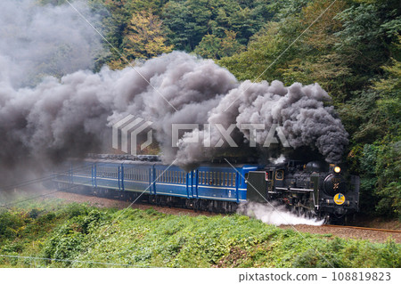 SL Yamaguchi running in the autumn mountains (C57-1 + 12 series passenger car + C56-160) 108819823