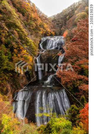 Fukuroda Falls at the peak of autumn leaves in Daigo Town, Ibaraki Prefecture 108819839