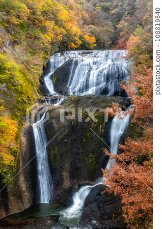 Fukuroda Falls at the peak of autumn leaves in Daigo Town, Ibaraki Prefecture Fukuroda Falls at the peak of autumn leaves in Daigo Town, Ibaraki Prefecture 108819840