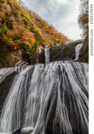 茨城縣醍醐町秋葉盛開的袋田瀑布 108819849