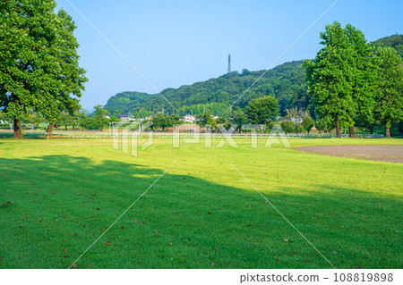 Nishike Sports Park in the early morning, midsummer scenery, Annaka City, Gunma Prefecture 108819898