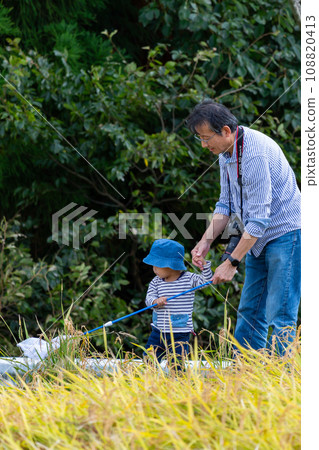 Autumn insect catching with parents and children Autumn insect catching with parents and children 108820413