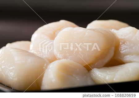 扇貝 扇貝 108820659