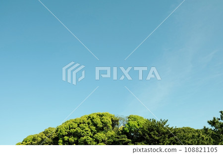 春天來臨，新芽綻放 108821105