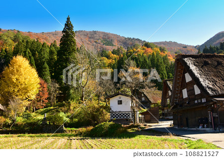 白川鄉世界遺產合掌造紅葉風景 白川鄉世界遺產合掌造紅葉風景 108821527